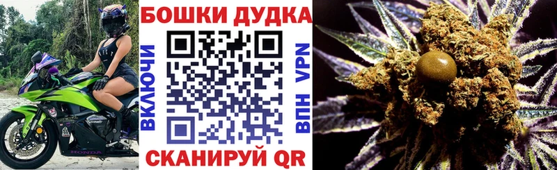 Купить закладки  Жердевка  Канабис планчик 